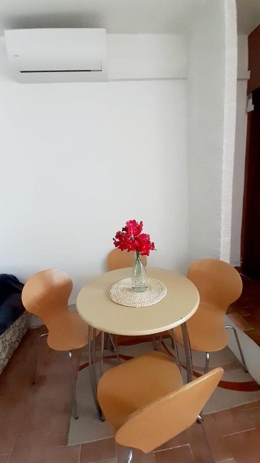 Apartman Ivan Vir Exteriör bild